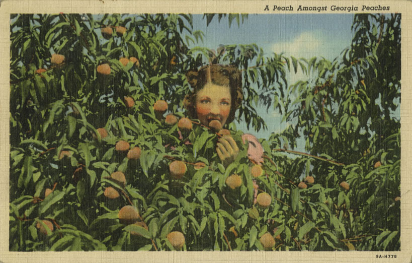 book review: the georgia peach: culture, agriculture, and