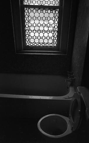 Toilet in the Mitchell house