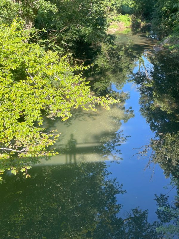 Intrenchment Creek at Woodlawn Ave, South Atlanta. My Shadow. Photo by Dez Miller.